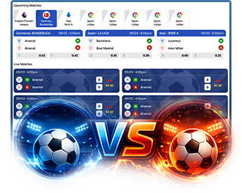 Sports widgets experience